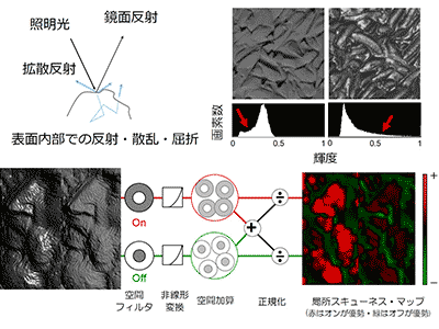 認知脳科学概論知識の応用