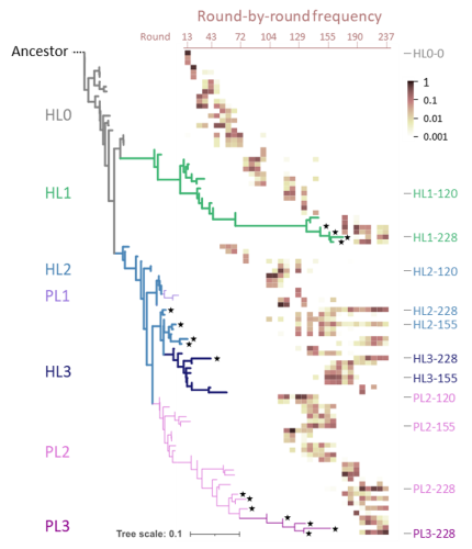 ichihashi_fig1